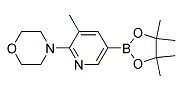 4-[3-METHYL-5-(4,4,5,5-TETRAMETHYL-[1,3,2]-DIOXABOROLAN-2-YL)PYRIDIN-2-YL]MORPHOLINE